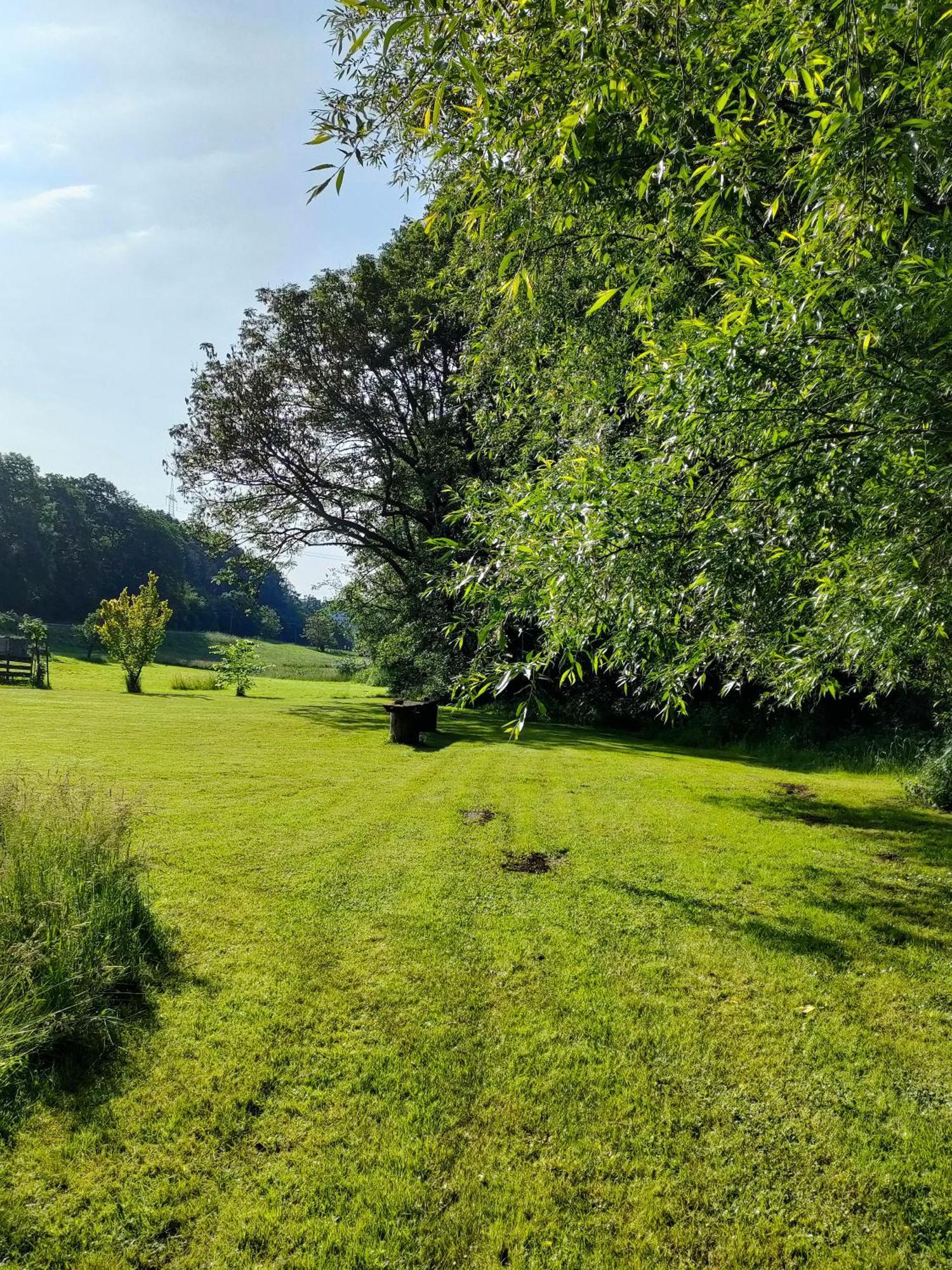 Wind In Den Weiden, Uebernachten Am Bachlauf Birstein Exterior foto